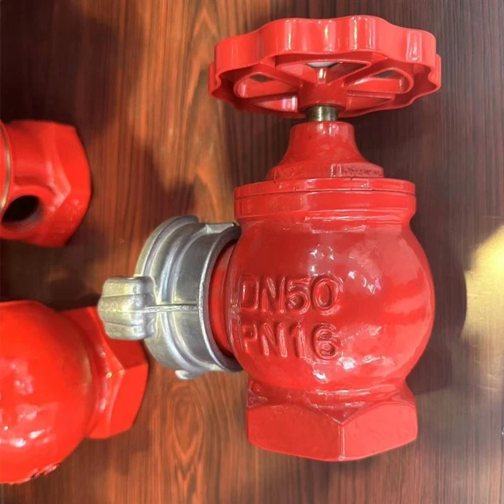 Single Valve Indoor Fire Hydrant