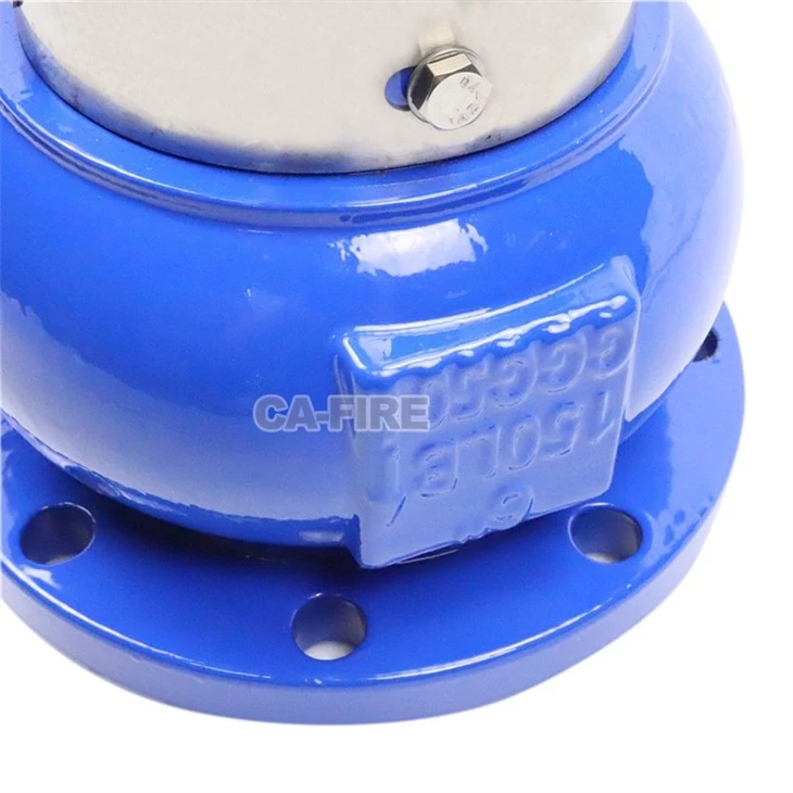 Foot Valves best