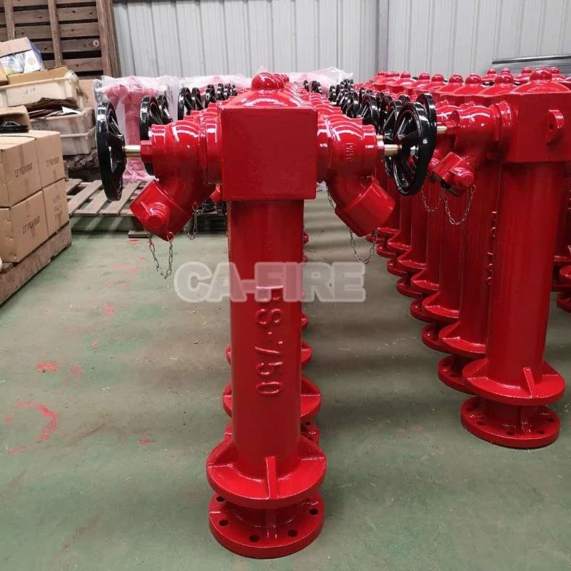 product-800-800