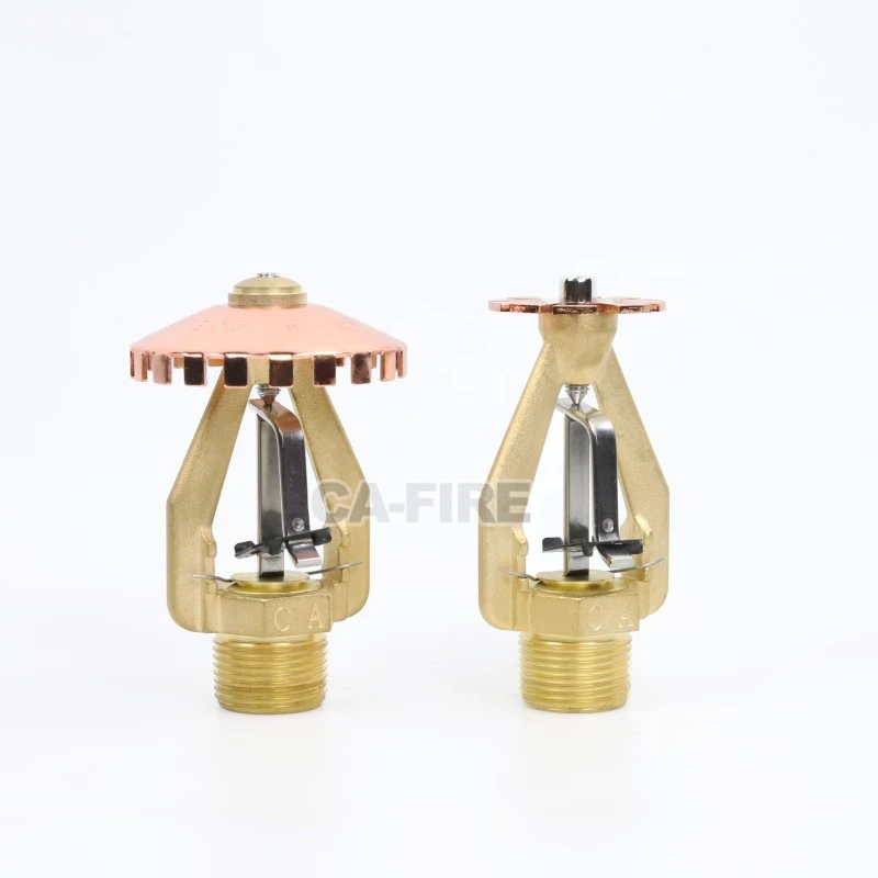 product-800-800 product-800-800