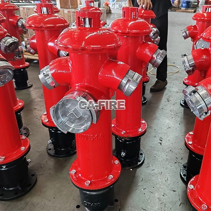 product-800-800 product-800-800
