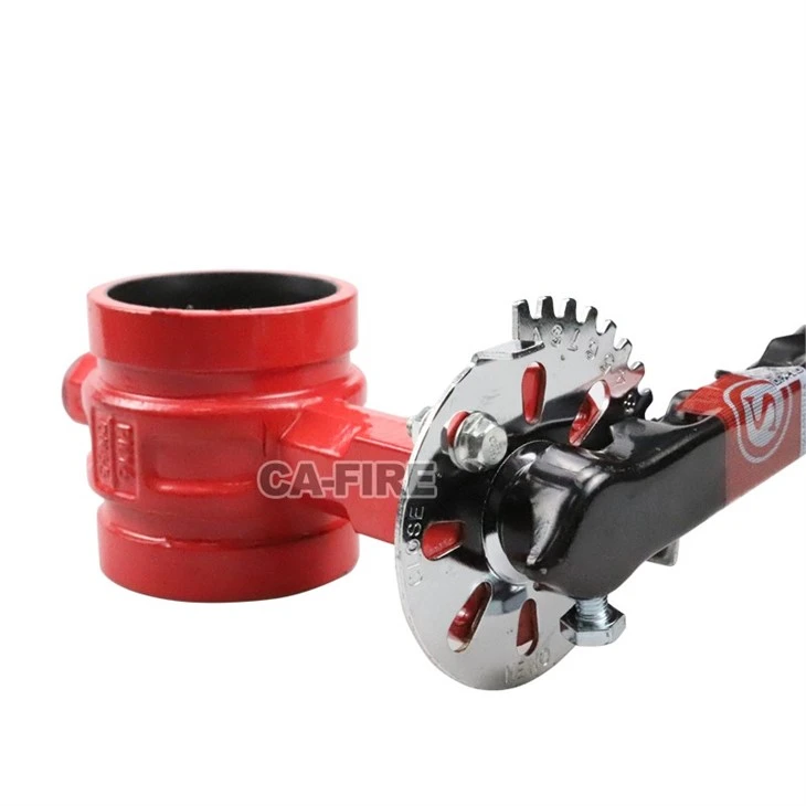 Butterfly valve (03)
